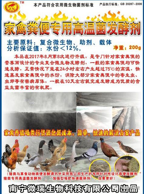 這個(gè)鴨場采用益生菌養(yǎng)殖青頭鴨 專業(yè)菌種發(fā)酵鴨糞制作有機(jī)肥形成生態(tài)養(yǎng)殖效益高