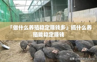『做什么養殖穩定賺錢多』搞什么養殖能穩定賺錢