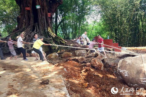 長洲區(qū)脫貧攻堅 鄉(xiāng)村振興 工作隊工作綜述