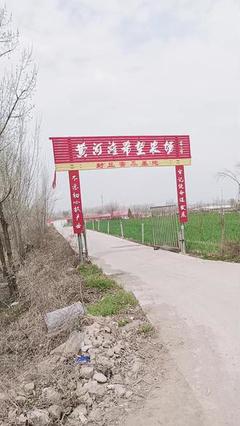 家禽養(yǎng)殖養(yǎng)鵝常見(jiàn)問(wèn)題
